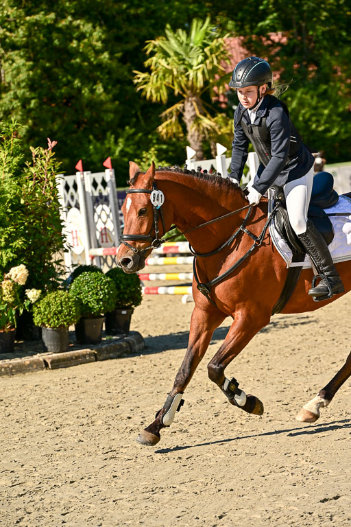 Show Jumping Event Stall Leichle in Schnarup | 17082025 Stil WB So_122 