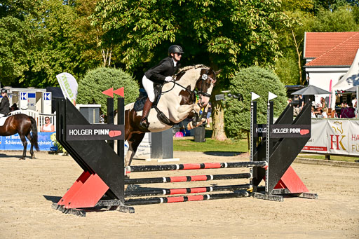 Show Jumping Event Stall Leichle in Schnarup | 17082025 Stil WB So_126 