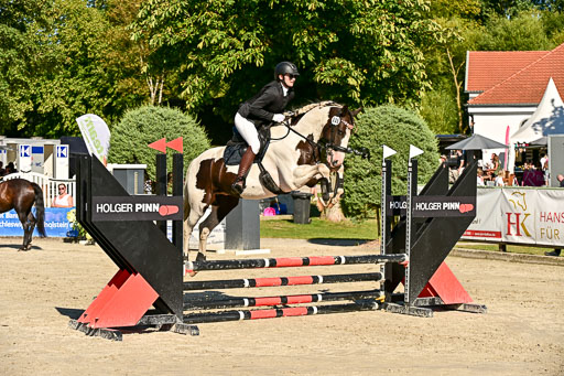 Show Jumping Event Stall Leichle in Schnarup | 17082025 Stil WB So_127 
