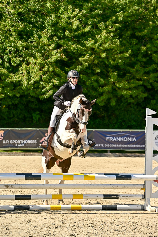 Show Jumping Event Stall Leichle in Schnarup | 17082025 Stil WB So_128 
