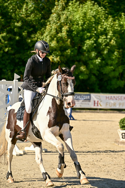 Show Jumping Event Stall Leichle in Schnarup | 17082025 Stil WB So_130 