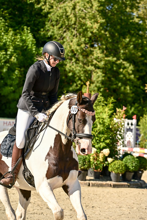 Show Jumping Event Stall Leichle in Schnarup | 17082025 Stil WB So_131 