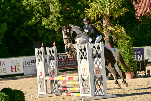 Show Jumping Event Stall Leichle in Schnarup | 17082025 Stil WB So_132 