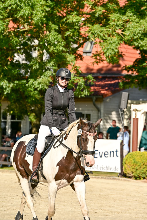 Show Jumping Event Stall Leichle in Schnarup | 17082025 Stil WB So_135 