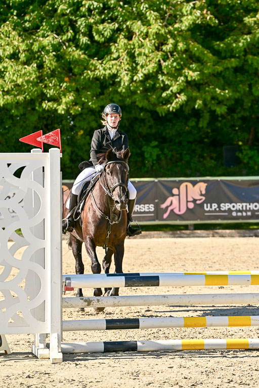 Show Jumping Event Stall Leichle in Schnarup | 17082025 Stil WB So_141 