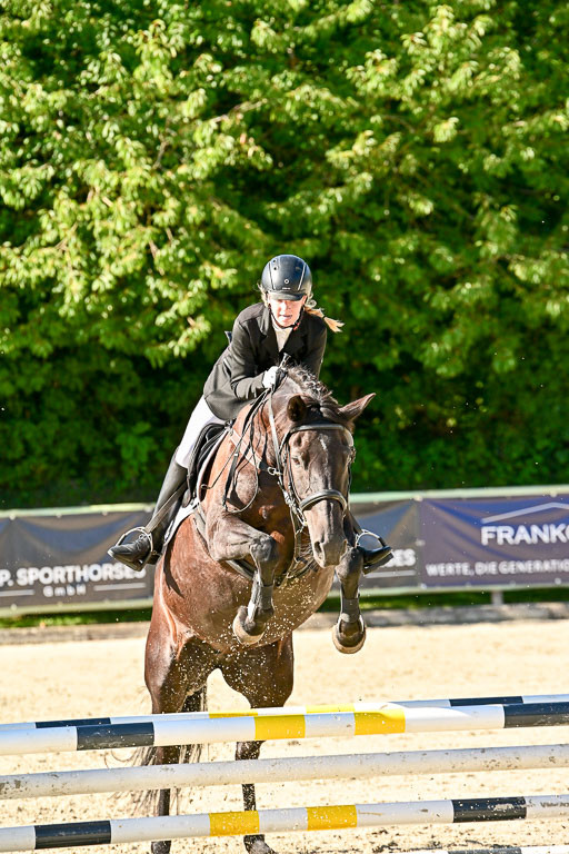 Show Jumping Event Stall Leichle in Schnarup | 17082025 Stil WB So_142 
