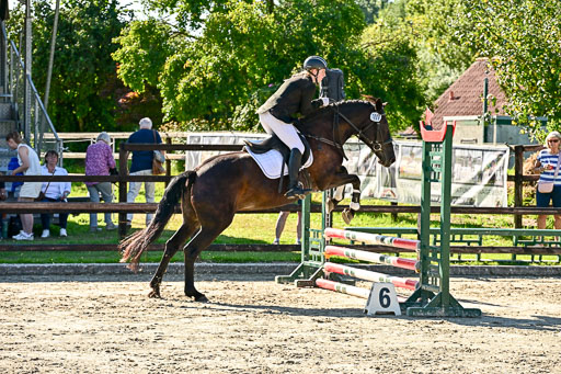 Show Jumping Event Stall Leichle in Schnarup | 17082025 Stil WB So_145 