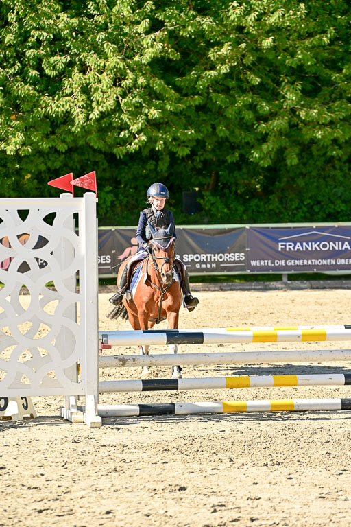 Show Jumping Event Stall Leichle in Schnarup | 17082025 Stil WB So_150 