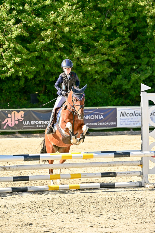 Show Jumping Event Stall Leichle in Schnarup | 17082025 Stil WB So_151 