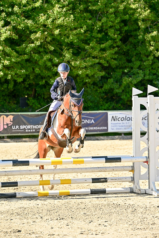 Show Jumping Event Stall Leichle in Schnarup | 17082025 Stil WB So_152 