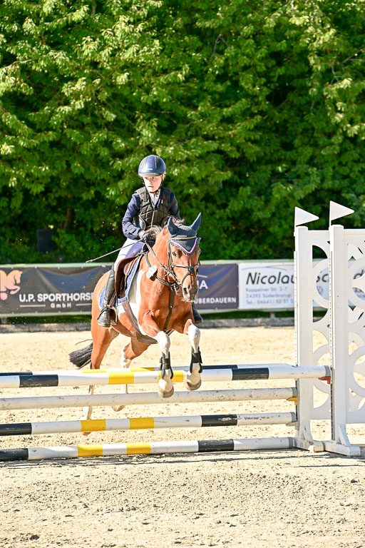 Show Jumping Event Stall Leichle in Schnarup | 17082025 Stil WB So_153 