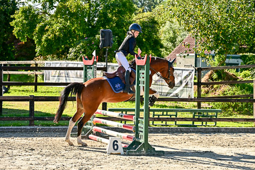 Show Jumping Event Stall Leichle in Schnarup | 17082025 Stil WB So_155 