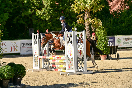 Show Jumping Event Stall Leichle in Schnarup | 17082025 Stil WB So_156 