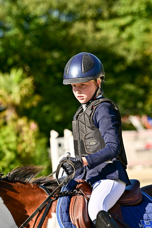 Show Jumping Event Stall Leichle in Schnarup | 17082025 Stil WB So_160 