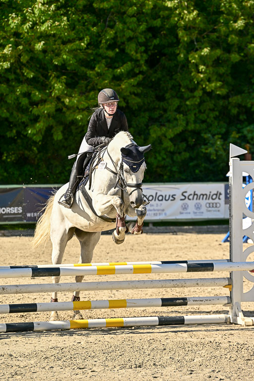 Show Jumping Event Stall Leichle in Schnarup | 17082025 Stil WB So_165 