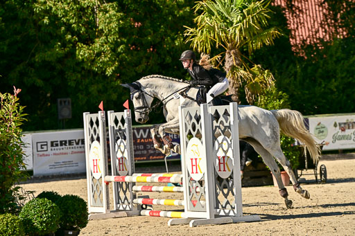 Show Jumping Event Stall Leichle in Schnarup | 17082025 Stil WB So_167 