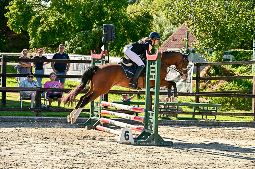Show Jumping Event Stall Leichle in Schnarup | 17082025 Stil WB So_173 