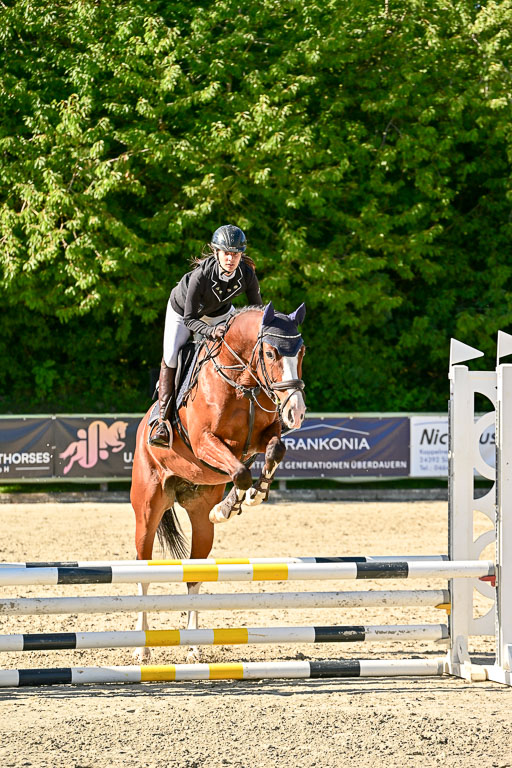 Show Jumping Event Stall Leichle in Schnarup | 17082025 Stil WB So_181 