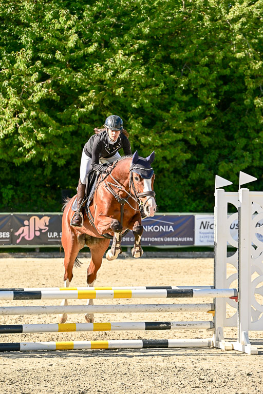 Show Jumping Event Stall Leichle in Schnarup | 17082025 Stil WB So_182 