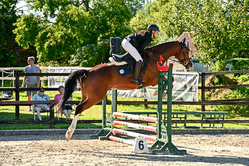 Show Jumping Event Stall Leichle in Schnarup | 17082025 Stil WB So_183 