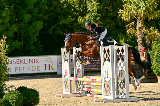 Show Jumping Event Stall Leichle in Schnarup | 17082025 Stil WB So_184 