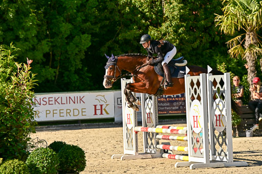 Show Jumping Event Stall Leichle in Schnarup | 17082025 Stil WB So_185 