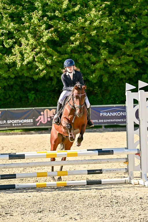 Show Jumping Event Stall Leichle in Schnarup | 17082025 Stil WB So_189 