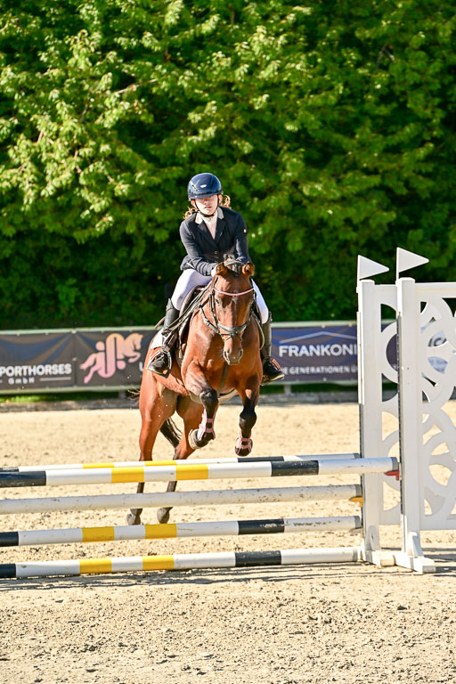Show Jumping Event Stall Leichle in Schnarup | 17082025 Stil WB So_190 