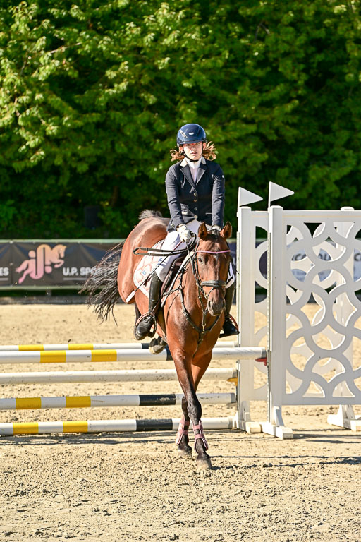 Show Jumping Event Stall Leichle in Schnarup | 17082025 Stil WB So_191 