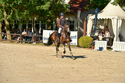 Show Jumping Event Stall Leichle in Schnarup | 17082025 Stil WB So_194 