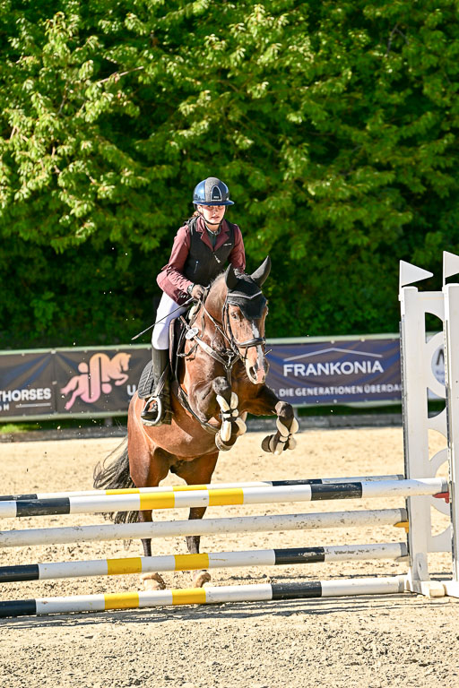 Show Jumping Event Stall Leichle in Schnarup | 17082025 Stil WB So_197 