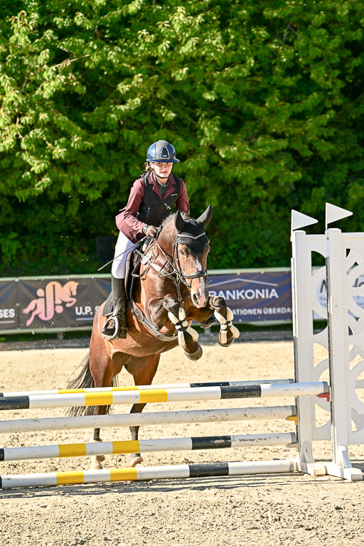 Show Jumping Event Stall Leichle in Schnarup | 17082025 Stil WB So_198 