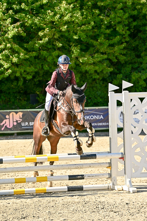 Show Jumping Event Stall Leichle in Schnarup | 17082025 Stil WB So_199 