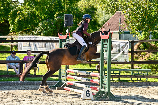 Show Jumping Event Stall Leichle in Schnarup | 17082025 Stil WB So_201 