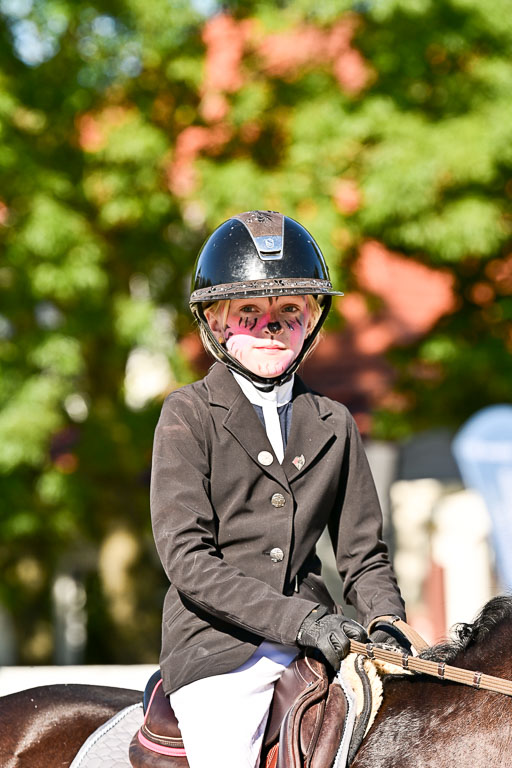 Show Jumping Event Stall Leichle in Schnarup | 17082025 Stil WB So_202 