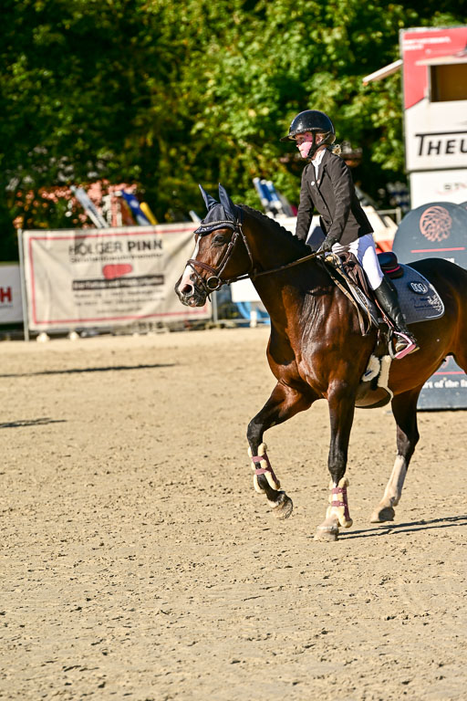Show Jumping Event Stall Leichle in Schnarup | 17082025 Stil WB So_203 