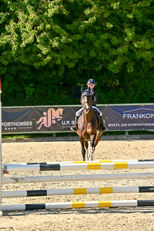 Show Jumping Event Stall Leichle in Schnarup | 17082025 Stil WB So_210 