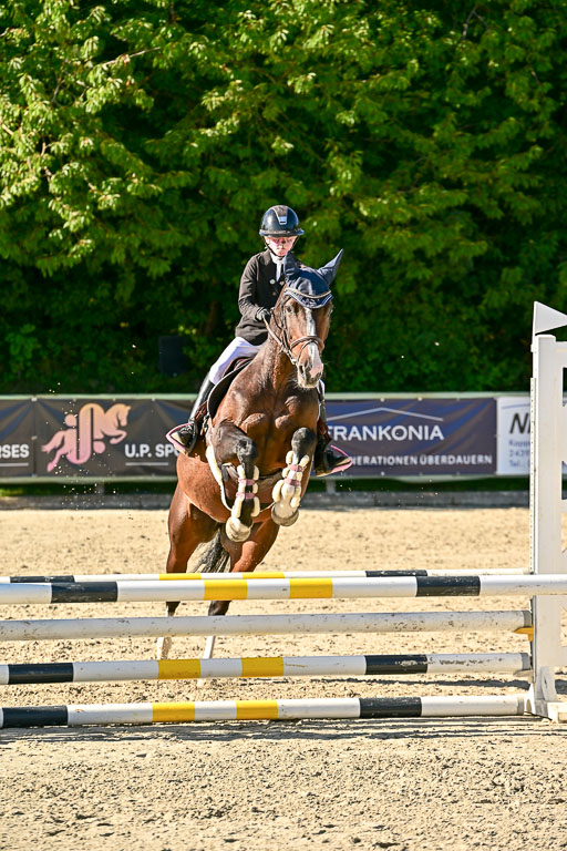 Show Jumping Event Stall Leichle in Schnarup | 17082025 Stil WB So_212 
