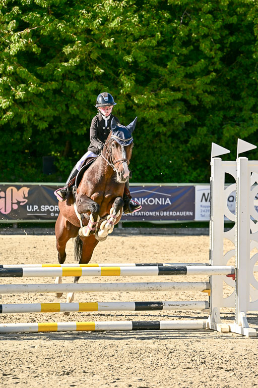 Show Jumping Event Stall Leichle in Schnarup | 17082025 Stil WB So_213 