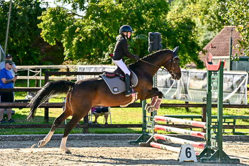 Show Jumping Event Stall Leichle in Schnarup | 17082025 Stil WB So_216 