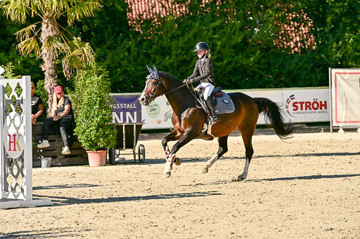 Show Jumping Event Stall Leichle in Schnarup | 17082025 Stil WB So_217 