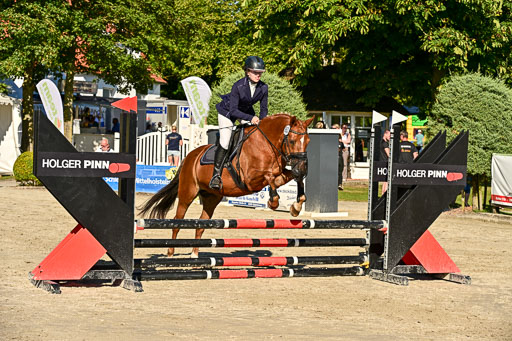Show Jumping Event Stall Leichle in Schnarup | 17082025 Stil WB So_221 