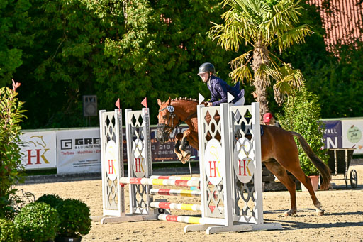 Show Jumping Event Stall Leichle in Schnarup | 17082025 Stil WB So_222 