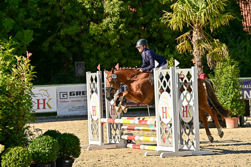 Show Jumping Event Stall Leichle in Schnarup | 17082025 Stil WB So_223 
