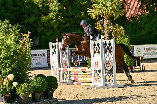 Show Jumping Event Stall Leichle in Schnarup | 17082025 Stil WB So_227 