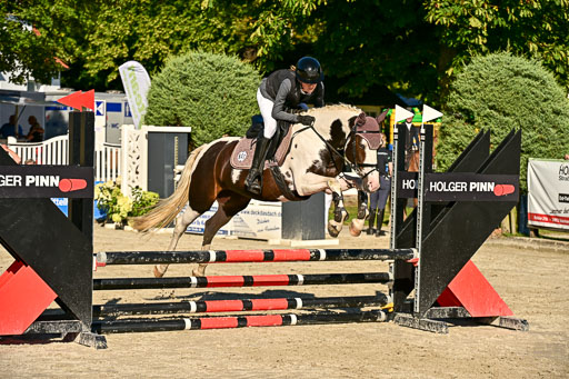 Show Jumping Event Stall Leichle in Schnarup | 17082025 Stil WB So_231 