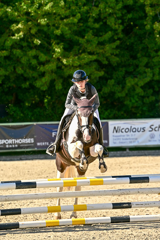 Show Jumping Event Stall Leichle in Schnarup | 17082025 Stil WB So_232 