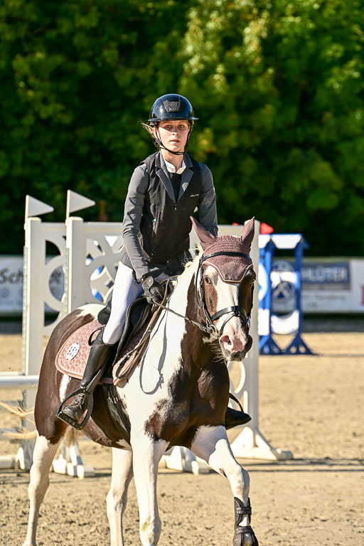 Show Jumping Event Stall Leichle in Schnarup | 17082025 Stil WB So_233 