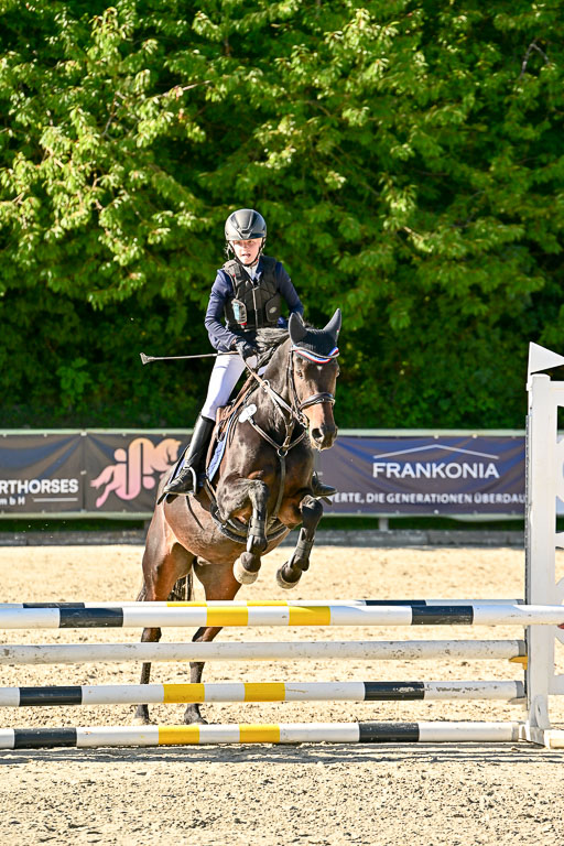Show Jumping Event Stall Leichle in Schnarup | 17082025 Stil WB So_240 
