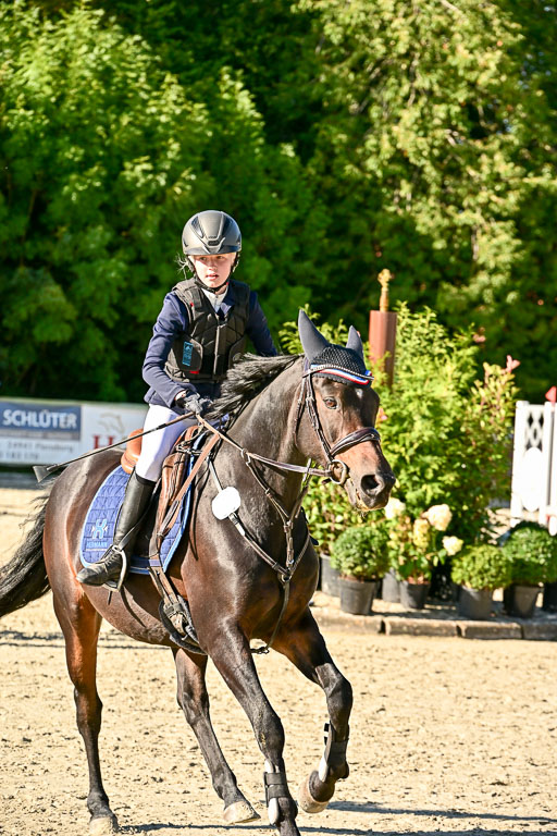 Show Jumping Event Stall Leichle in Schnarup | 17082025 Stil WB So_243 